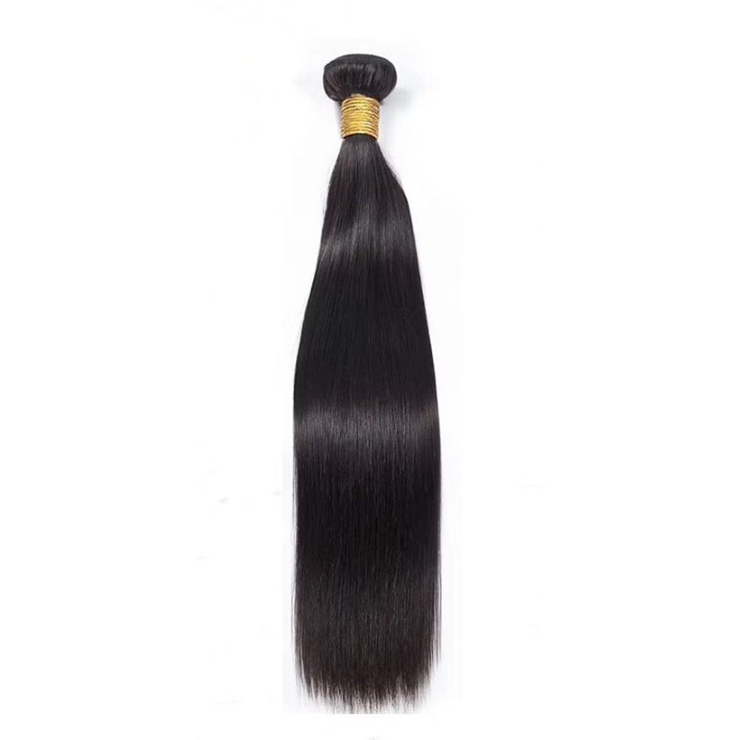 Raw Indian Straight Hair Bundle