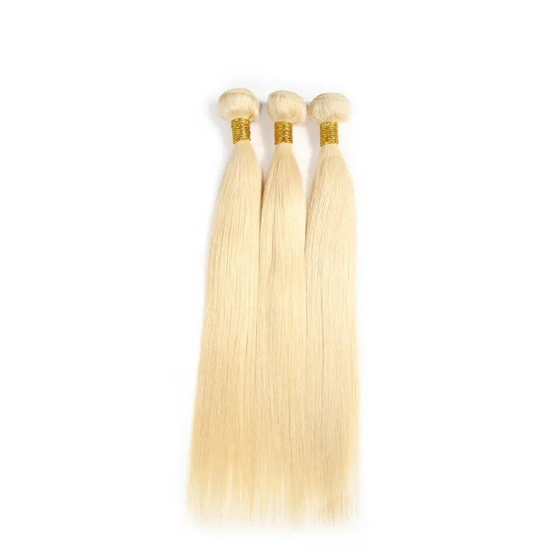 Raw Indian Straight Hair Bundle - Blonde 613