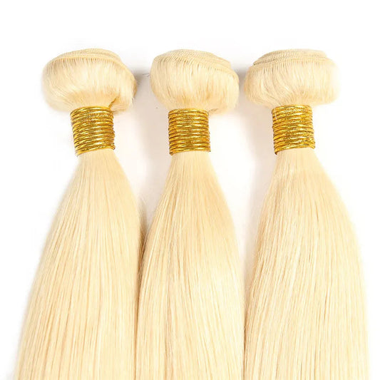 Raw Indian Straight Hair Bundle - Blonde 613